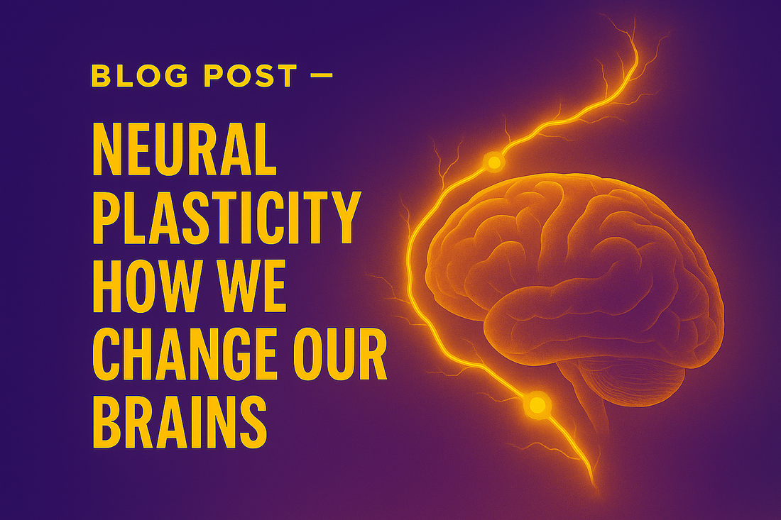 Neural Plasticity — How We Change Our Brains