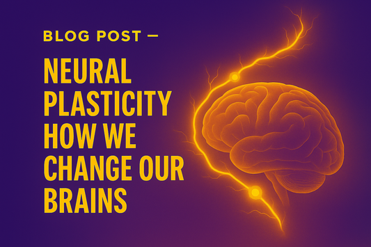 Neural Plasticity — How We Change Our Brains